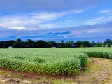 IMG_5395
