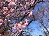 IMG_1976 (2)