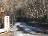 IMG_4567