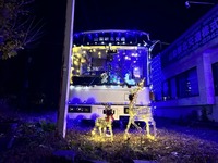 IMG_5994