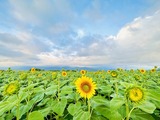 IMG_4205(1)