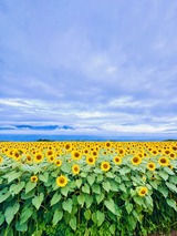 IMG_5146