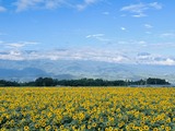 IMG_6101