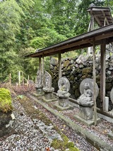 IMG_2255