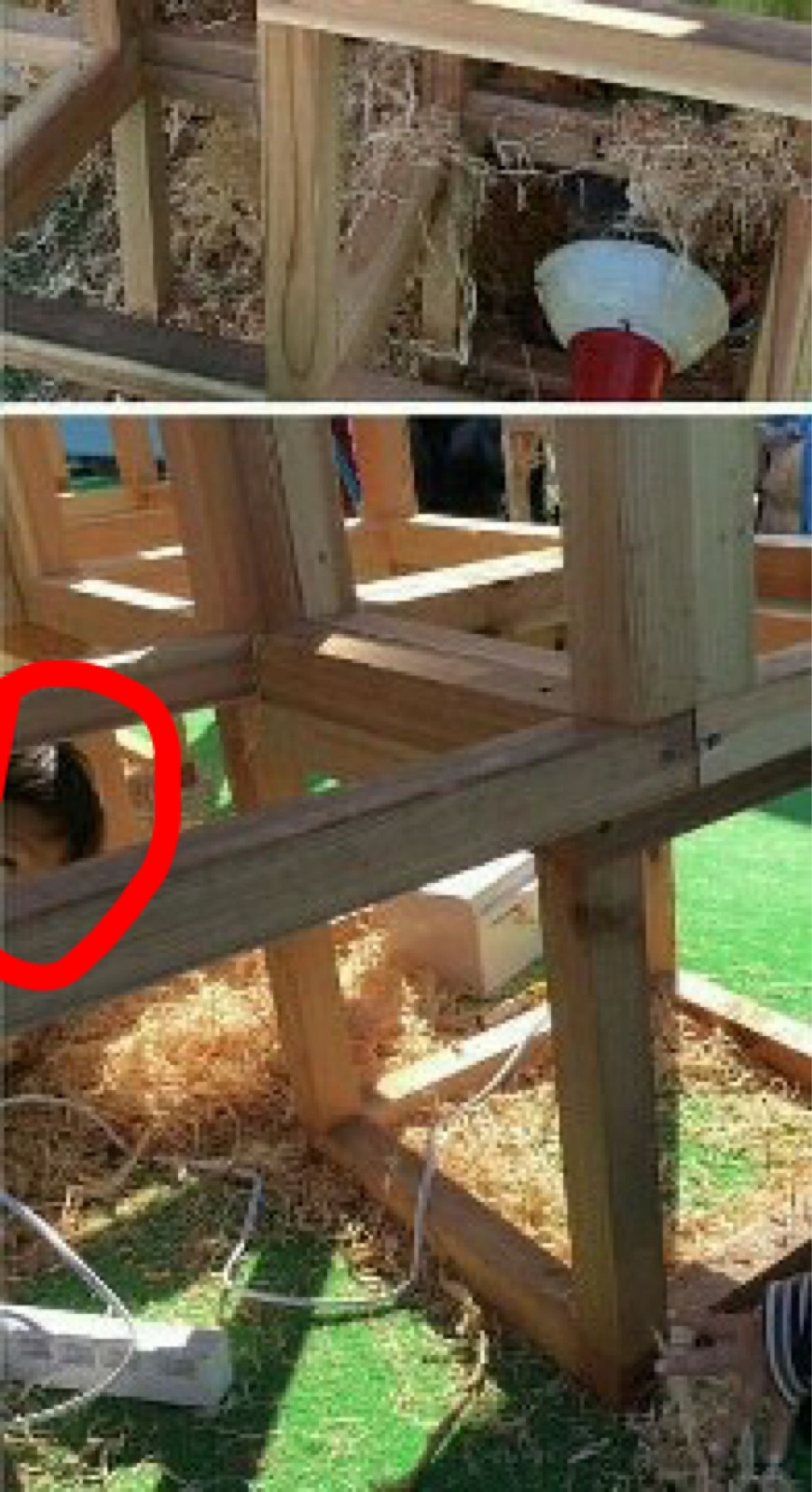 事故 Lｅｄ電球なら大丈夫と思った 学生がジャングルジム作製で男児死亡 日本工業大学長 深くおわび 東京 そらまめ速報