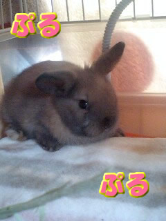 ここどこ・・・?