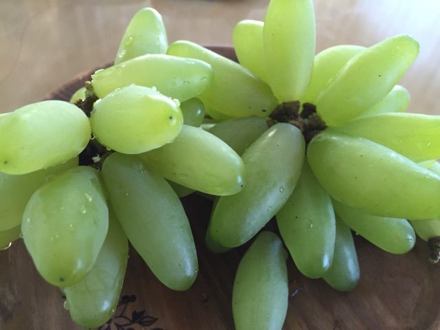 ゴールドフィンガー 皮ごと食べる種なしぶどう ニコニコでいこうね