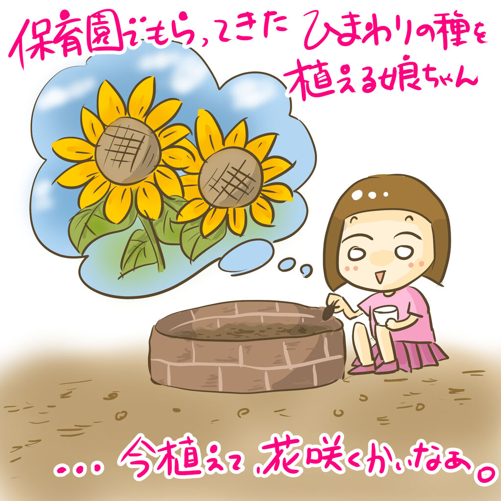 保育園でもらってきたひまわりの種を植える娘ちゃん 子育てひとコマ お母さんはマンガ家 保育園でもらってきたひまわりの種を植える娘ちゃん 子育てひとコマ お母さんはマンガ家
