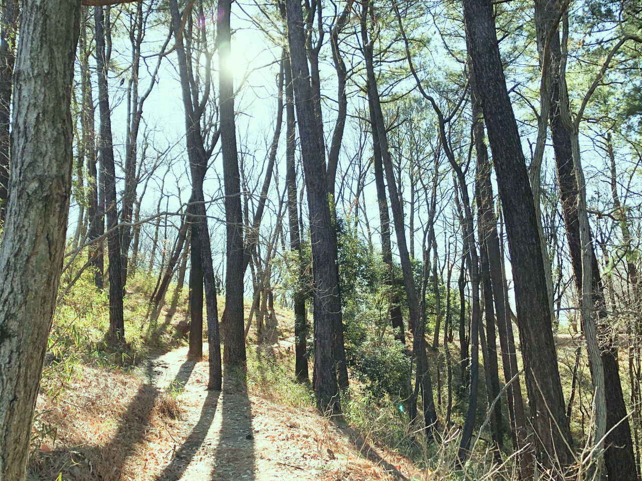 明けましておめでとうございます 秘密の花園 Coco Club