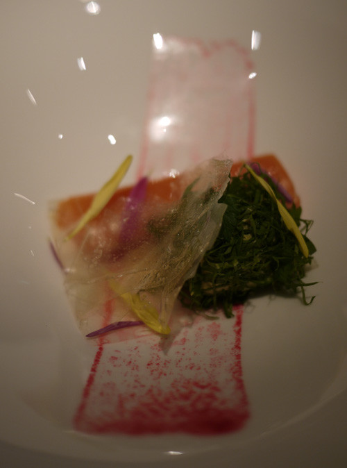 タパス モラキュラーバー の分子料理 気仙沼の遊び方 タパス モラキュラーバー の分子料理 気仙沼の遊び方