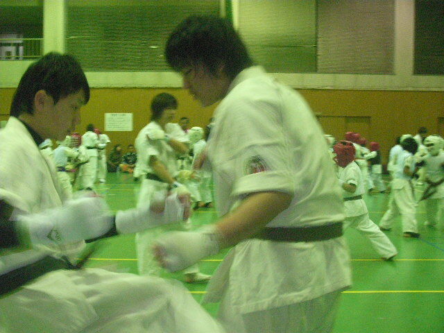 イメージ 10