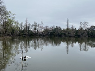 FDC62425-3464-4BE1-BD63-864D0B420236