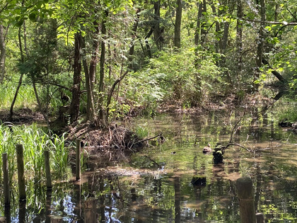 B6BF2EA5-B2A4-447C-A06B-9B255EC24802