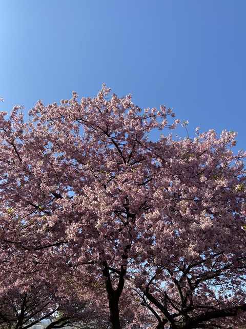 15C2E1FB-E33D-4657-B152-40155B980928