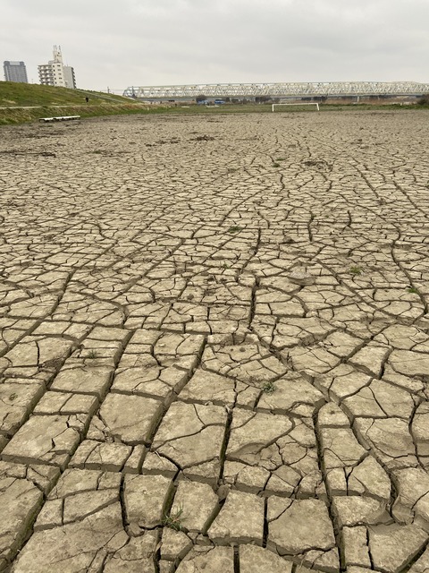 592AD1B4-6BDC-4946-9E3C-9EDD63B52F4A