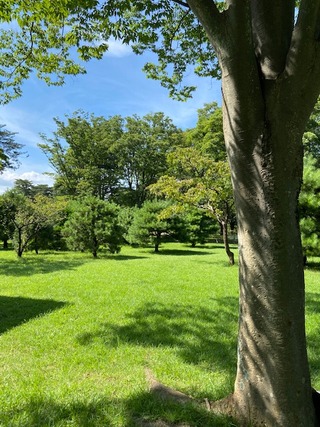 AFC79542-83BA-4F63-8201-FE0CFB31B166