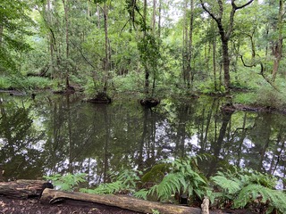 F961E8F3-3B91-4C2F-8FA2-26C0D6965241