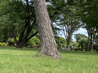 73EF0B39-BC73-4C13-B296-62797577C45C