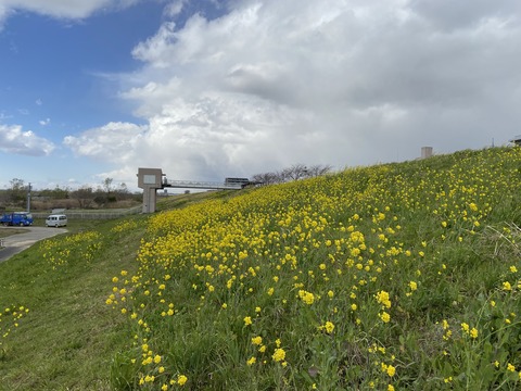 FEF04F8B-F918-4564-86DE-8448248C9A15