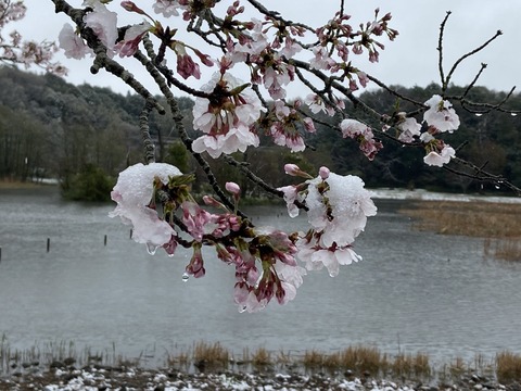 02AE3A23-4FD6-4328-8117-5DF598AEC4E7