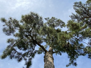 91CC2AE6-0EF4-43FB-A31F-EA98C8A88012