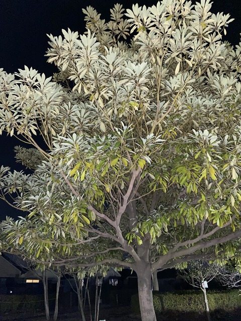 122A557C-6C41-4B8E-AED9-8CAFA975D793