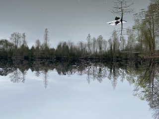 B0E6CF28-B431-495F-AFCA-70C016160124