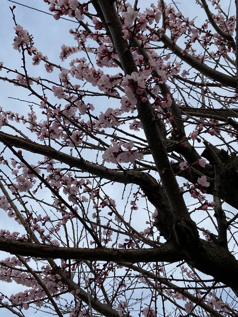 988C671D-23D4-4FAD-BBFC-6E84600BEBF9