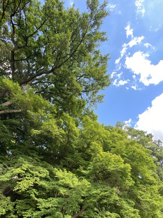 8AF5D2C5-2DC5-418E-ADB7-EC0C48F009DA