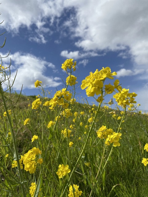 BAF4CBE8-4E21-4B66-A56C-4943F1904CE4