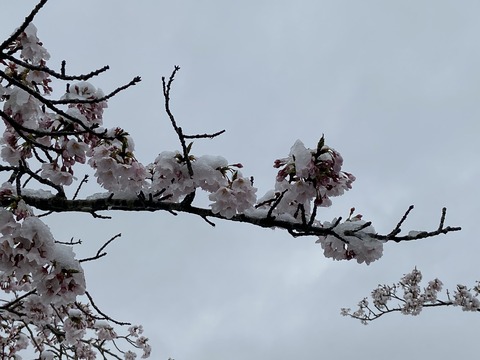 66B1FAFA-161F-45C9-A4A5-38774D8D79ED