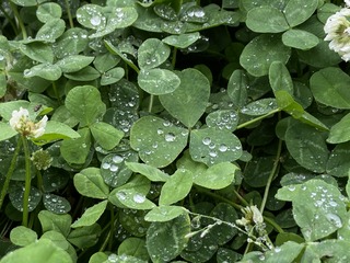 64295D34-2C33-451C-9698-1165997429BB