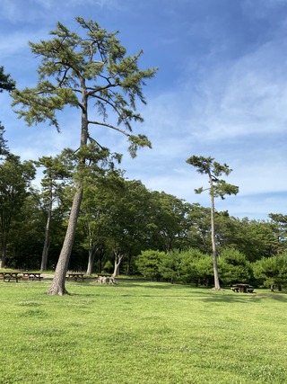 B2F3E68F-1D2B-4DC8-BE36-729C41061635