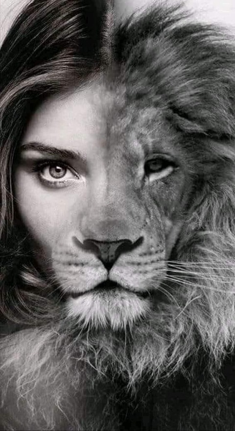 facebook_1604291843504_6728887696379141231