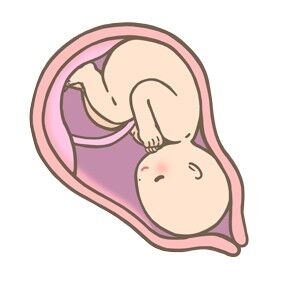 fetus-womb-uterus-pregnant-woman-thumbnail