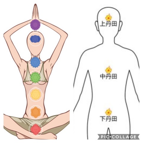 Collage 2020-08-27 12_10_06_(1)