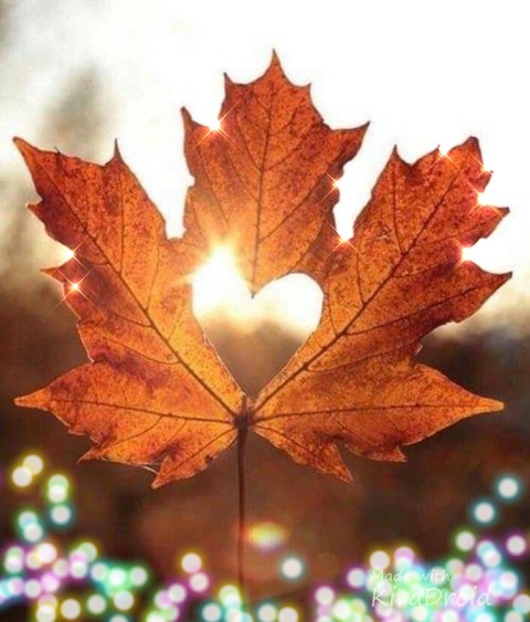 キラキラ_20201002_150854