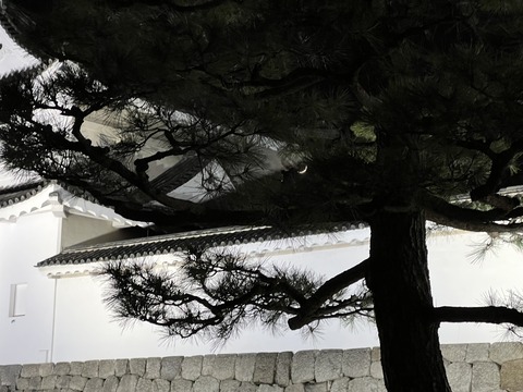 2022.01.05 二条城IMG_6438
