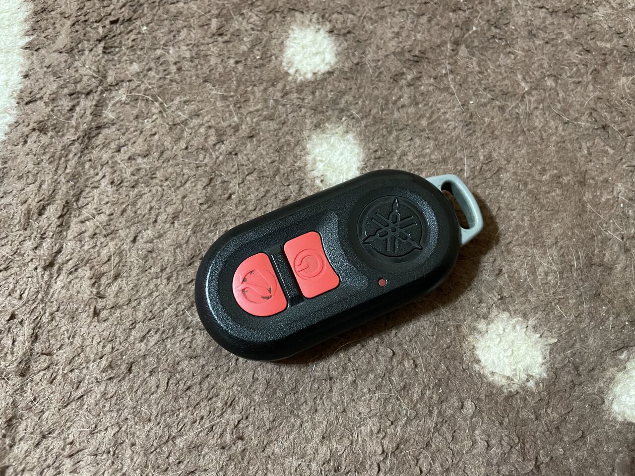 マジェ4D9のスマートキーの電池交換 : おじおばの奮闘記