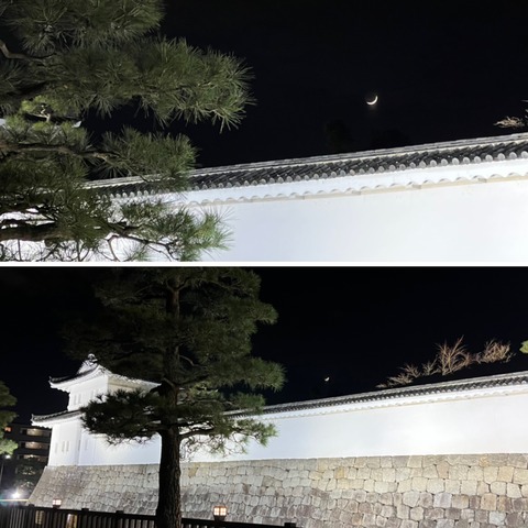 2022.01.05 二条城IMG_6464