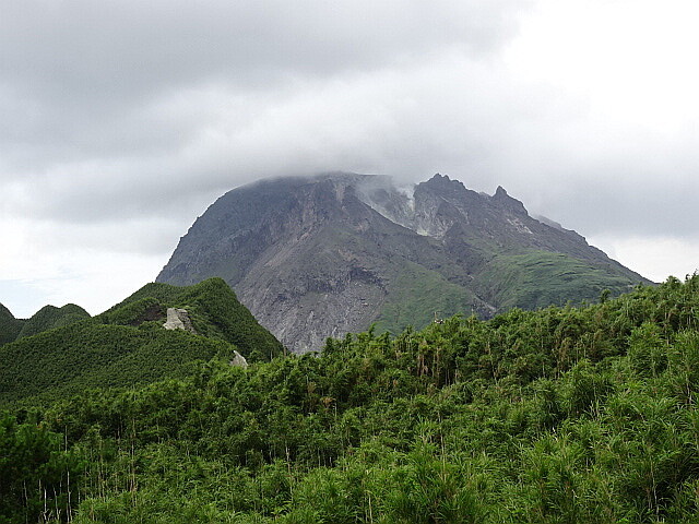 山頂まで見えた