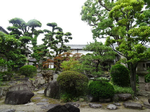 DSC03331