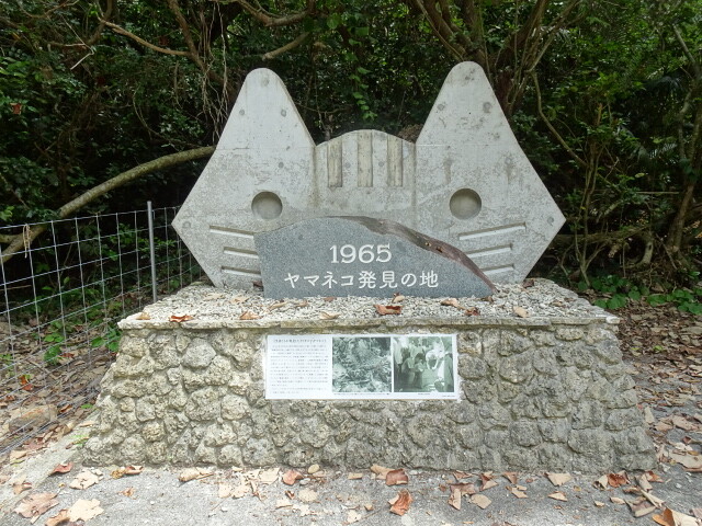 DSC01018