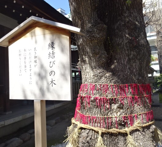 イメージ 5