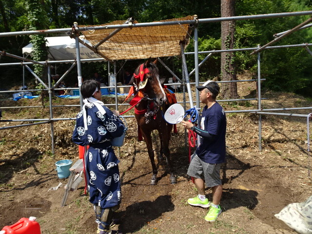 ねぎらってもらう馬