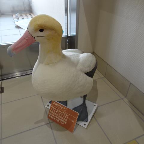 DSC04630
