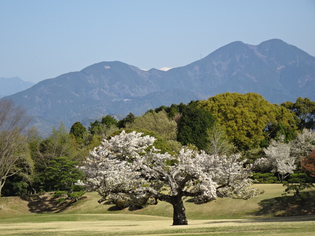 白いのが聖岳