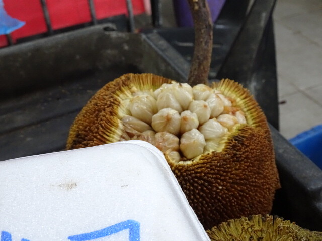 塩ゆでして食べる (2)