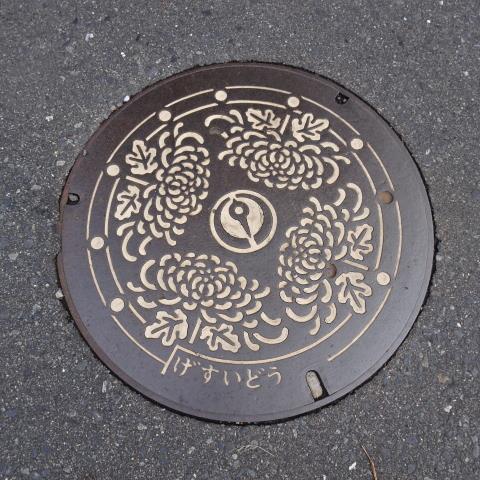 八戸市菊カラー版