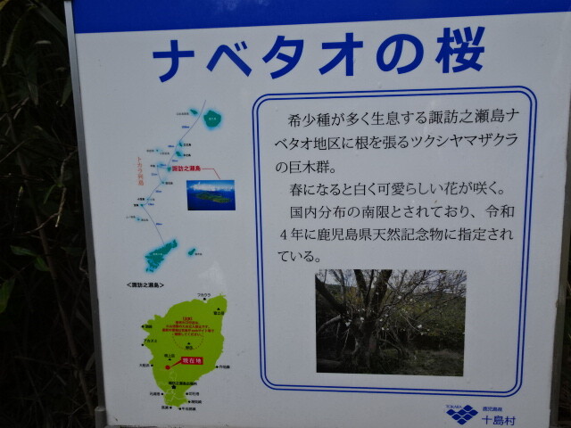 ナベタオとは鍋底の事